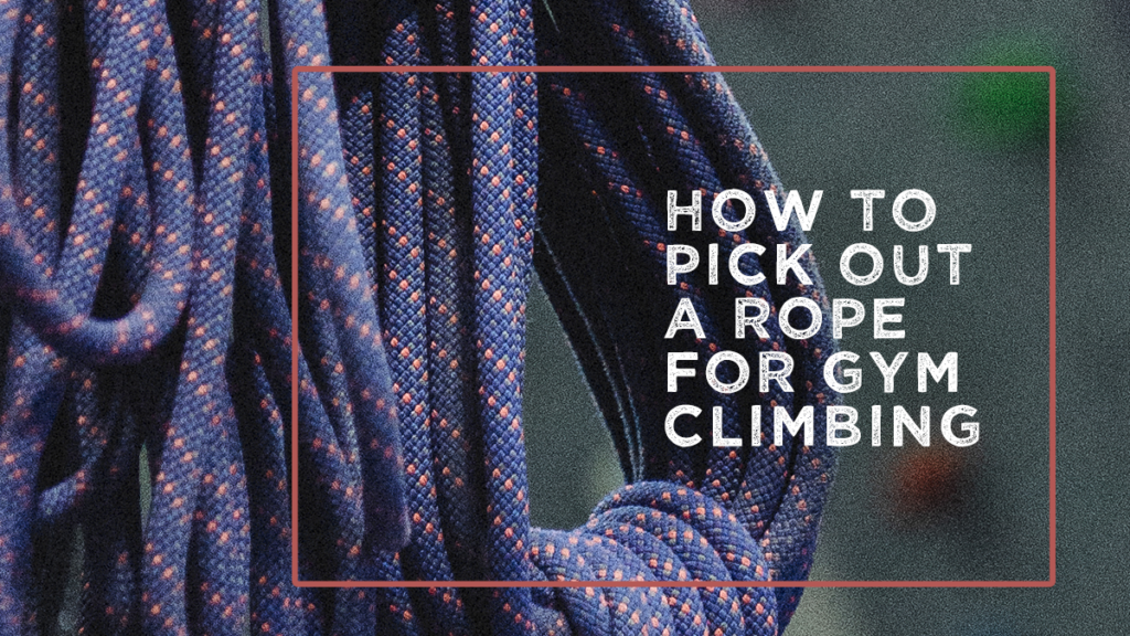 How to Pick Out a Rope for Gym Climbing
